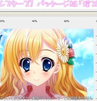 『Gカップシスターズ!』淫(イン)ストーラー紹介ムービー掲載!